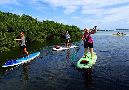 Paddleboard