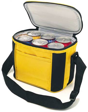 lunch cooler