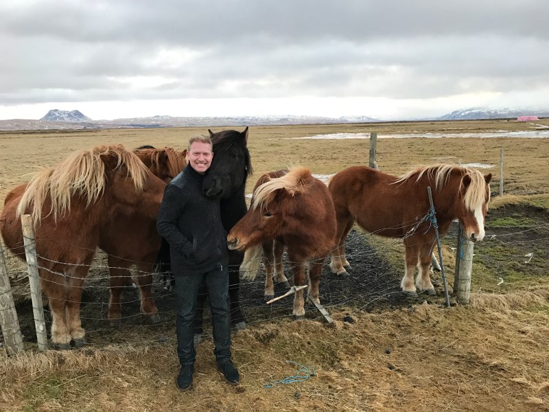 dj paris iceland horses