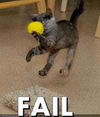 Cat Fail