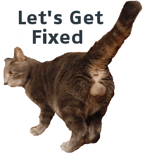Finally Starting That Thing – Let’s Get Fixed