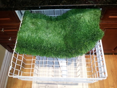 pet loo in dishwasher