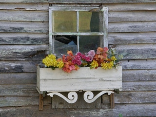 window box flowers