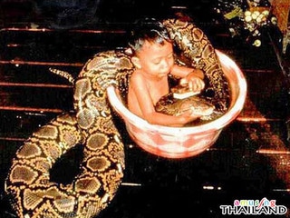 Thailand Snake Baby