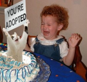 youre_adopted_trollcat